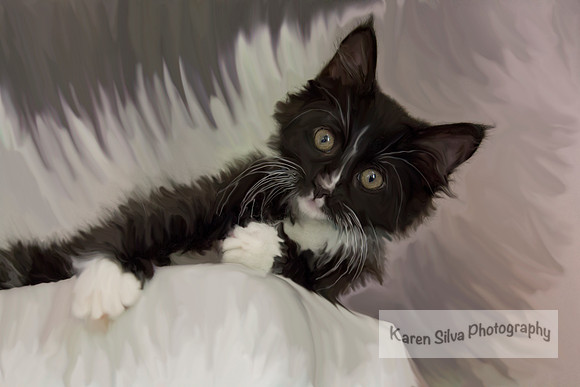 Mittens