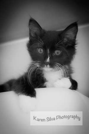 Mittens #4