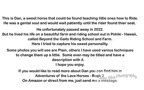 Dan