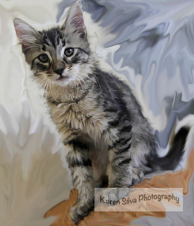Little Grey 2