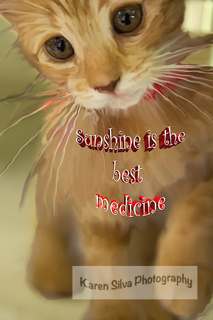 Sunshine
