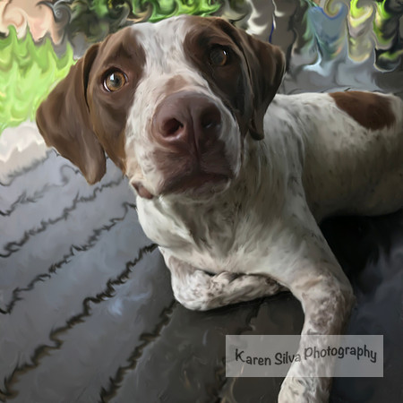 Kingsley