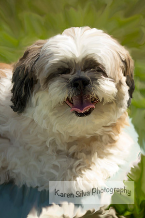 Bosco