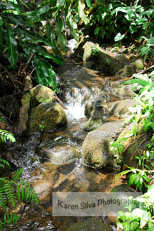 Little Waterfall