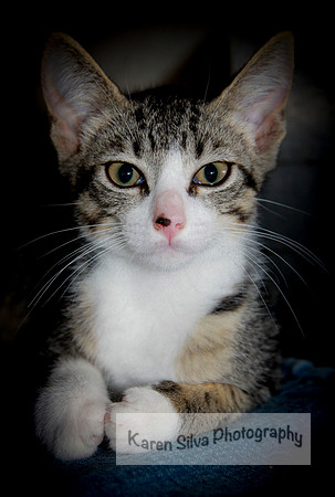 Fiona
