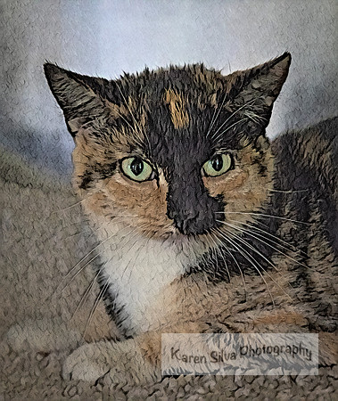 Keni