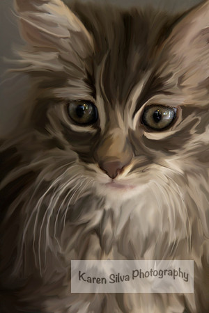 Fluffy Kitten #3