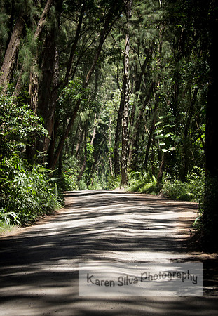 Road Less Traveled