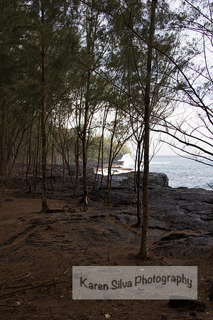 Hidden View