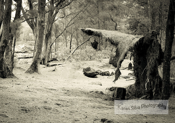 Nature Hide Out