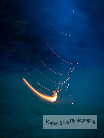 Firefly