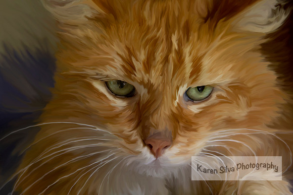 Garfield #2