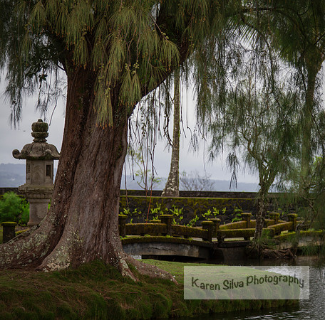 Quiet Island