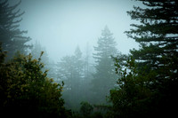 Around Bolder Creek
