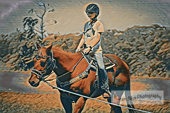Little Rider