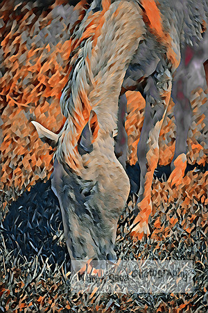 Steel