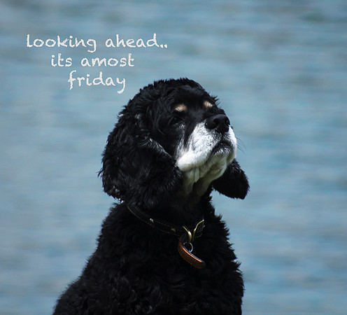 Looking Ahead