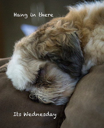 Hang In There