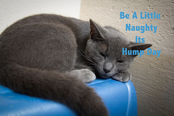 Be a little Naughty