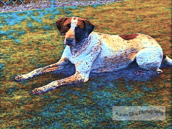 Kingsley