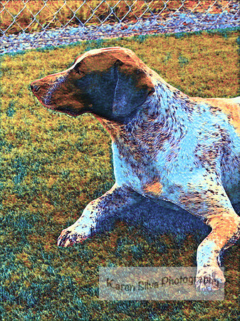 Kingsley